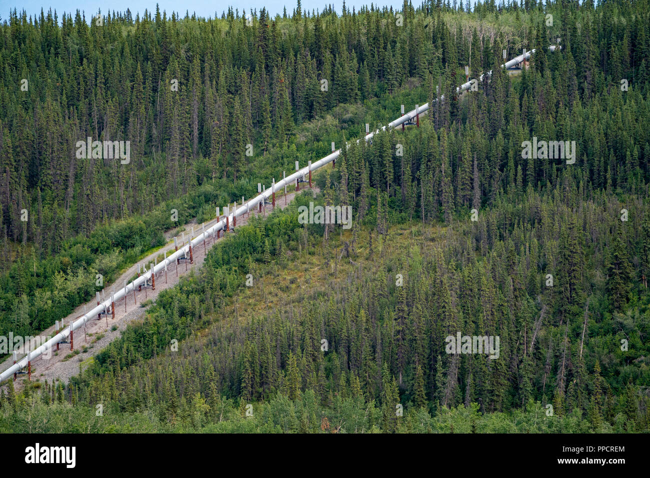 Vista aerea del Trans Alaska Pipeline (TAPS) dal Fiume di rame Alaska Foto Stock
