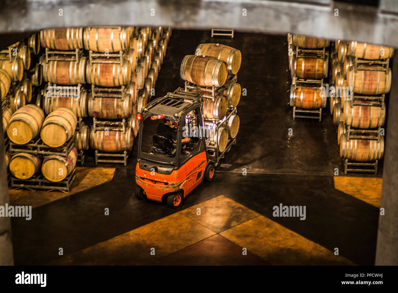 Elevato angolo di visione dell uomo aziona il carrello elevatore in cantina, Mendoza, Argentina Foto Stock