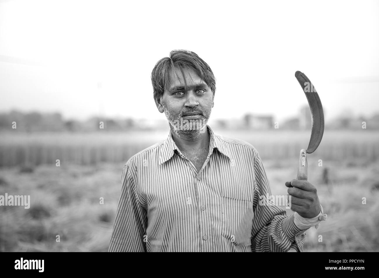 In bianco e nero ritratto indiana di imprenditore nel campo di grano raccolto falce portante sulla sua spalla e guardando la fotocamera. Foto Stock