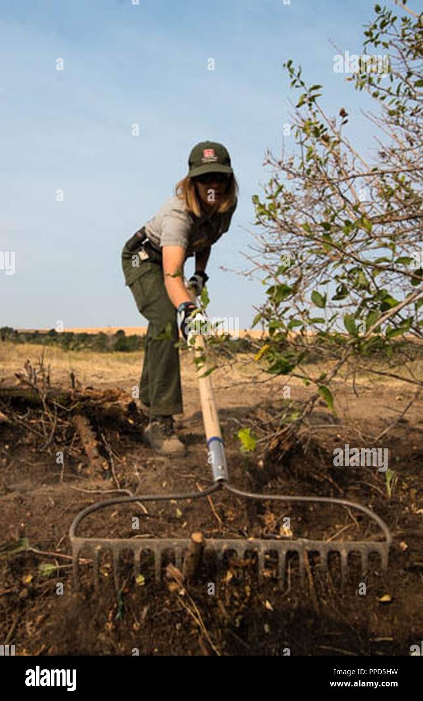 Park Tech Sandy Hattan prevede di installare un giardino impollinatrice al al Millcreek e Bennington Lago sito del progetto in Walla Walla Washington. Ha lavorato con Whitman College, portare studenti volontari che sono stati una parte dell'estate Comunità Out-Reach escursione o cliente programma. Insieme hanno ripulito una piccola area di terra per un futuro giardino impollinatori; Foto Stock