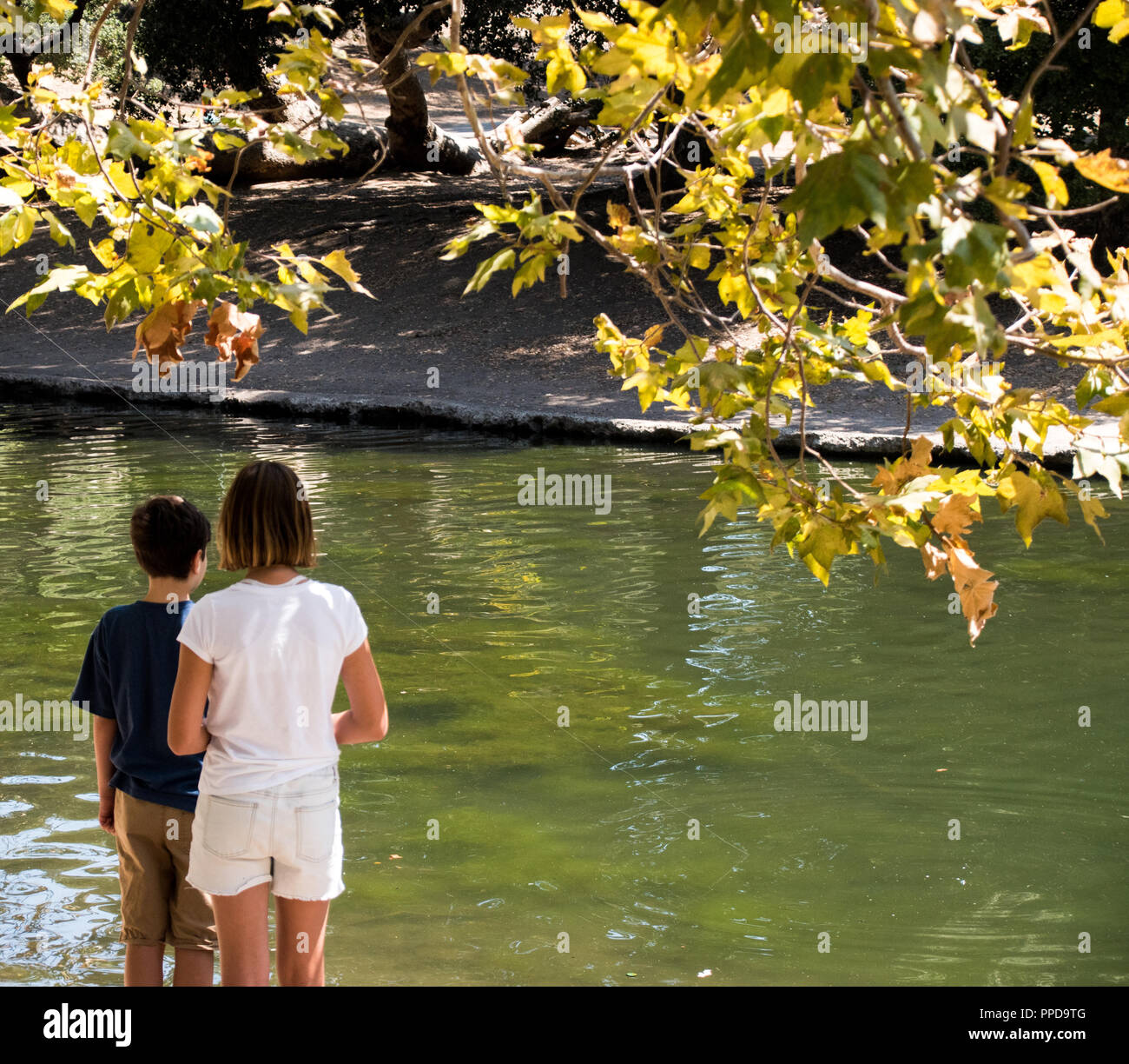 Due bambini in Irvine Parco Regionale in arancione ,CA guardando un lago nel 2017 Foto Stock