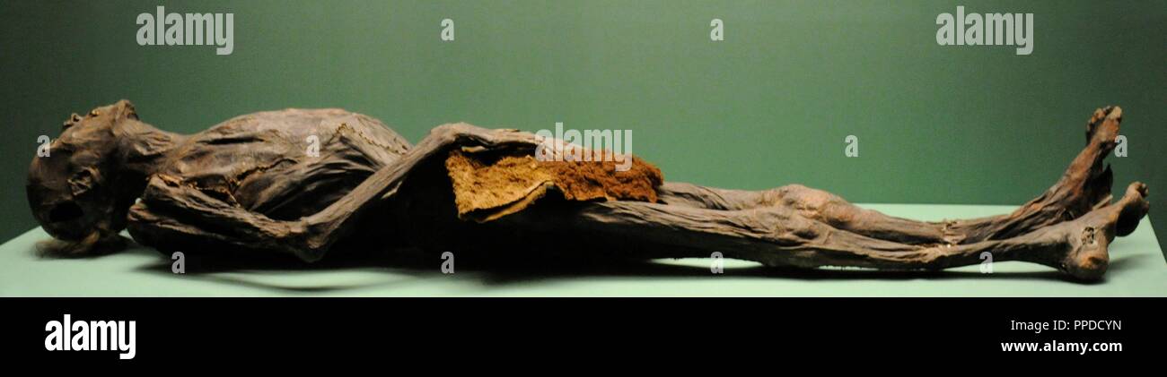 Cultura Pazyryk. Scita Età del Ferro cultura archeologica. 6th-3rd secolo A.C. Mummia di Pazyryk chief. Tatuato. 55 anni. V kurgan. La Siberia. Lo stato Museo Hermitage. San Pietroburgo. La Russia. Foto Stock