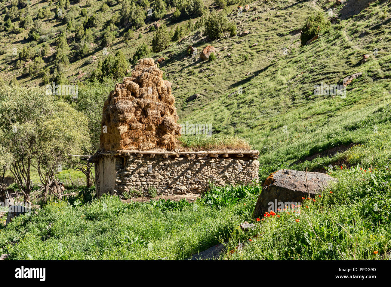 La altezze incredibili di Alay Trek nel sud-ovest del Kirghizistan che prende in 4 3000+ metro passa. Foto Stock