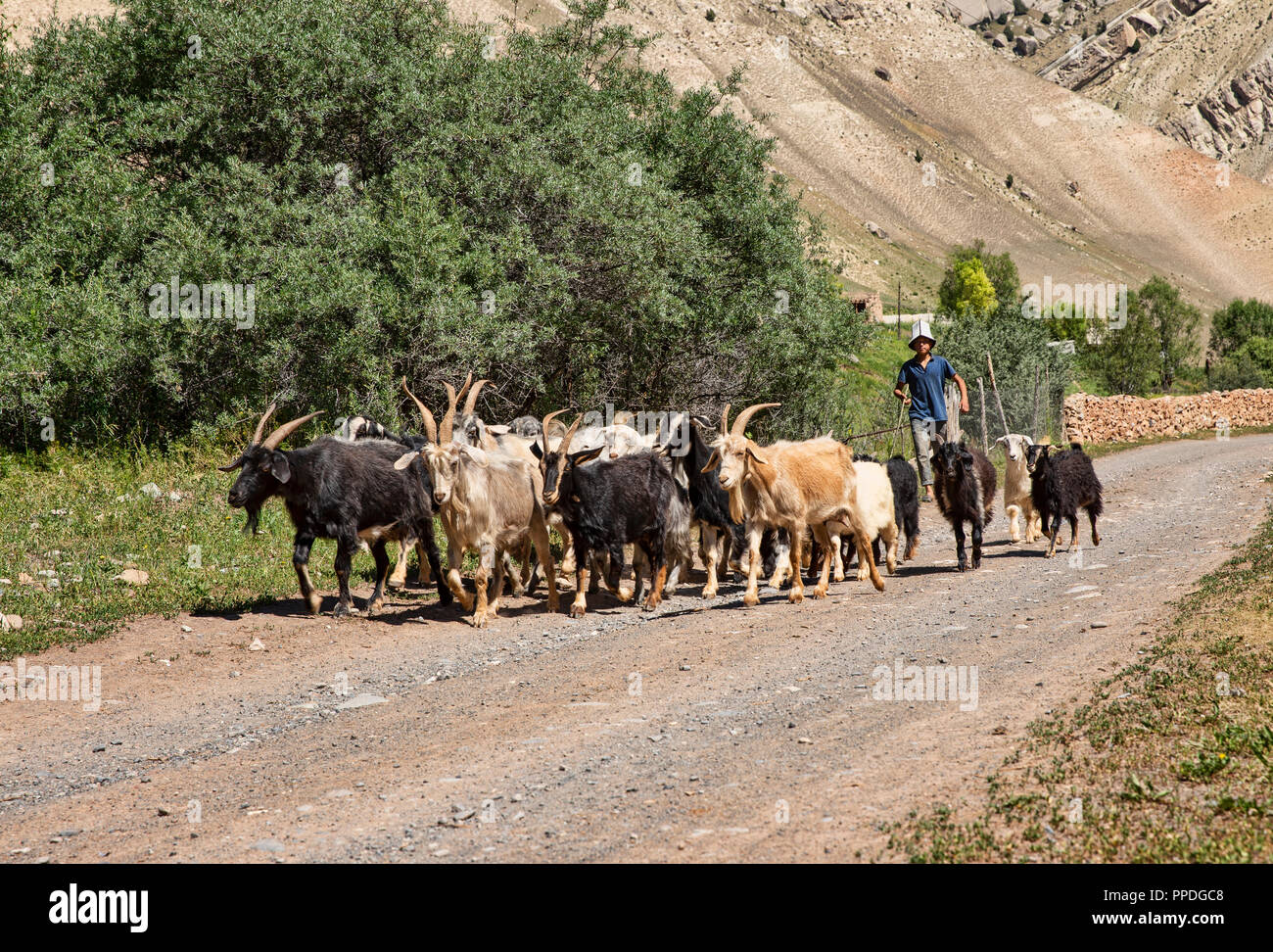 La altezze incredibili di Alay Trek nel sud-ovest del Kirghizistan che prende in 4 3000+ metro passa. Foto Stock