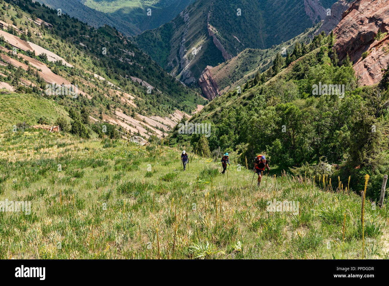 La altezze incredibili di Alay Trek nel sud-ovest del Kirghizistan che prende in 4 3000+ metro passa. Foto Stock