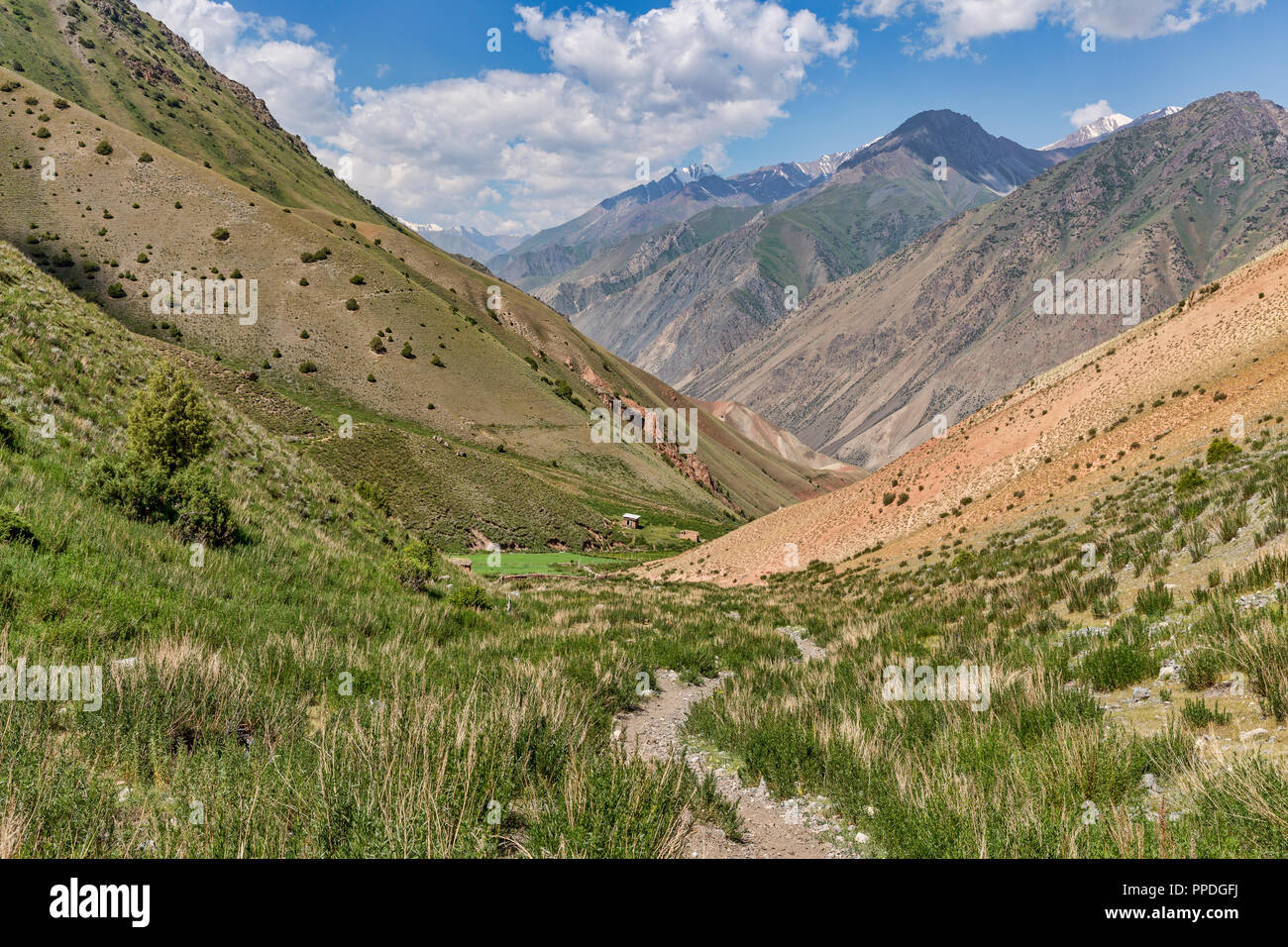 La altezze incredibili di Alay Trek nel sud-ovest del Kirghizistan che prende in 4 3000+ metro passa. Foto Stock