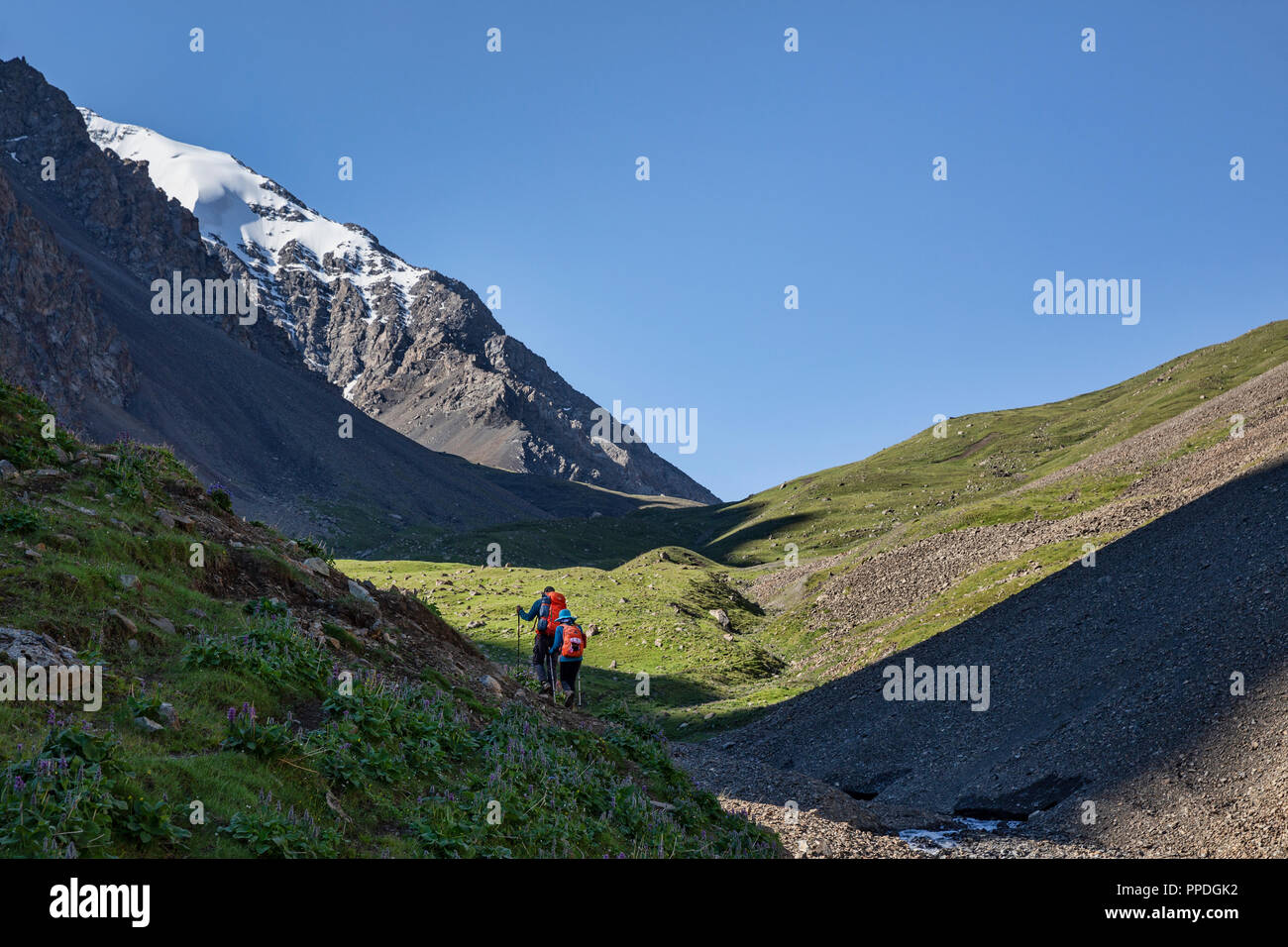 La altezze incredibili di Alay Trek nel sud-ovest del Kirghizistan che prende in 4 3000+ metro passa. Foto Stock