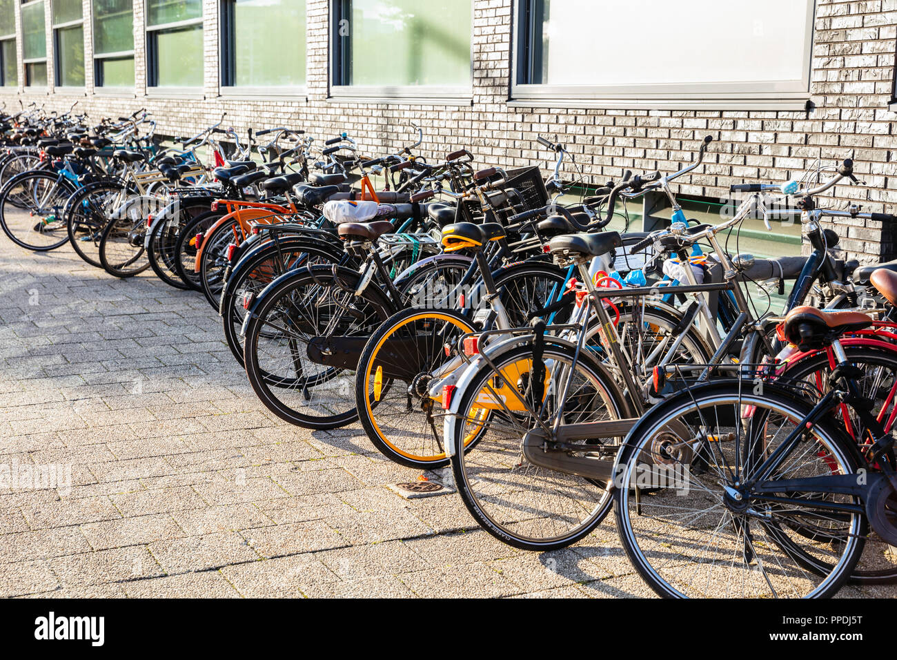 Colorato di biciclette parcheggiate su una strada acciottolata a Rotterdam contro un edificio, sfondo. Foto Stock