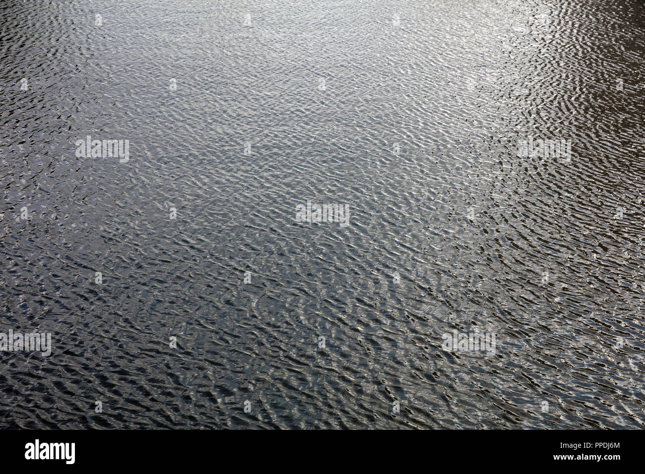 City River fondo di acqua nel pomeriggio. Increspata superficie scura con riflessi Foto Stock