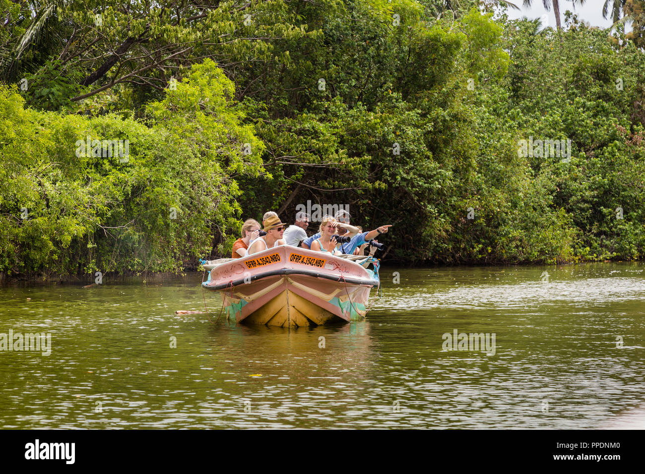 Negombo Sri Lanka 24 Luglio 2017 - i turisti prendere un giro in barca attraverso una delle lagune a Negombo. Vi è una vasta rete di lagune e canali tramite Foto Stock