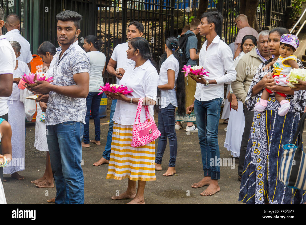 Kandy Sri Lanka Luglio 28 2017 - Persone trascinando i fiori di loto di pregare per il Buddha in un tempio di Sri Lanka Foto Stock