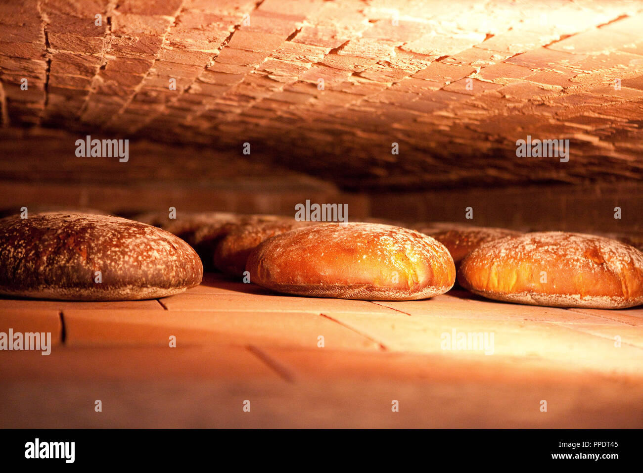 La produzione di pane nel panificio del Monaco di Baviera Hofpfisterei, la  figura mostra una vecchia pietra tedesca forno di cottura, che è riscaldata  dalla fiamma del gas Foto stock - Alamy