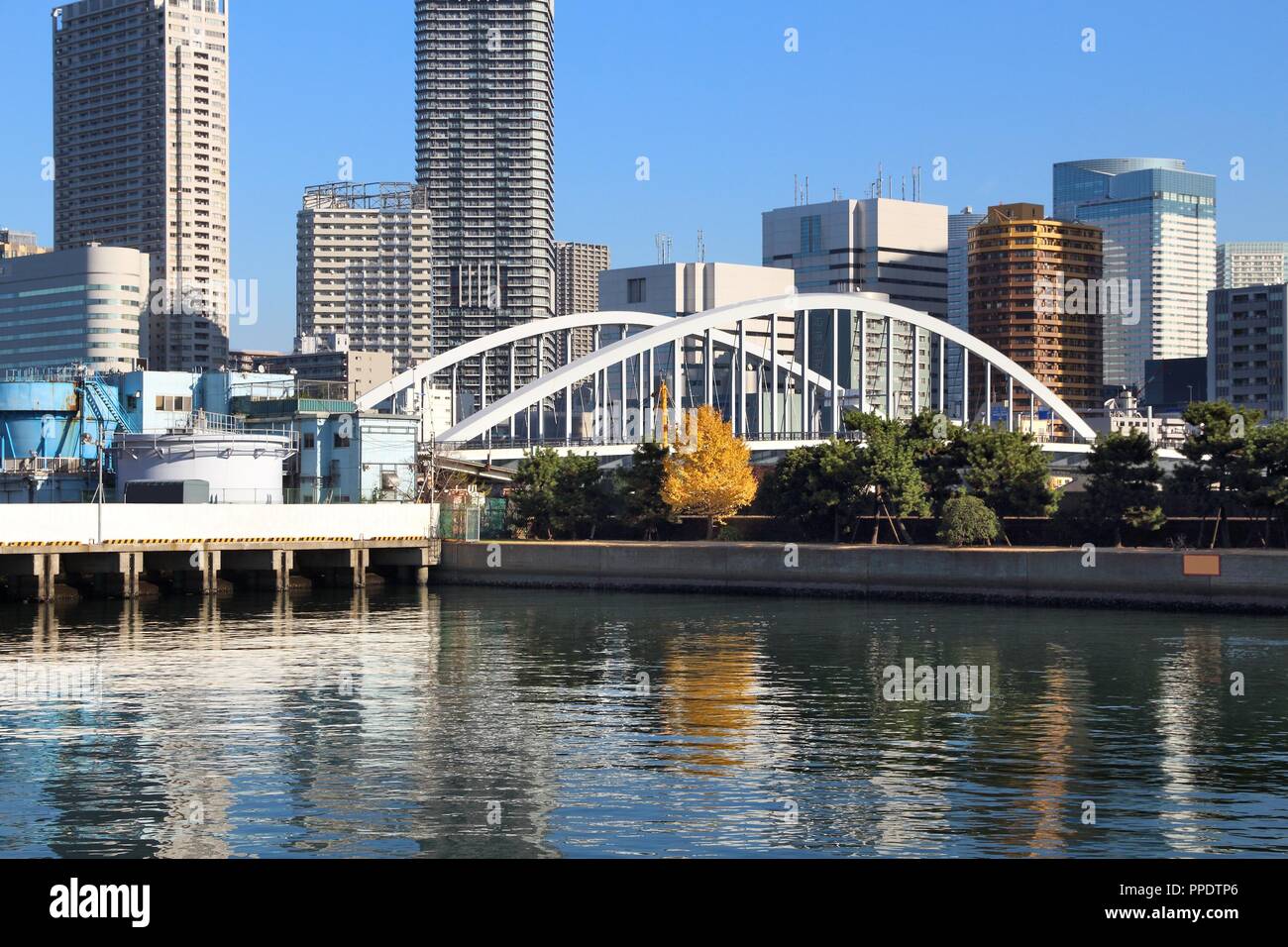Lo skyline di Tokyo - moderni quartieri residenziali con alti edifici di appartamenti a Kachidoki. Foto Stock