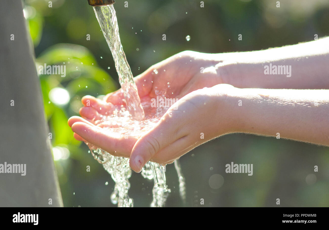 Acqua fresca raccolti da bambino la mano Foto Stock