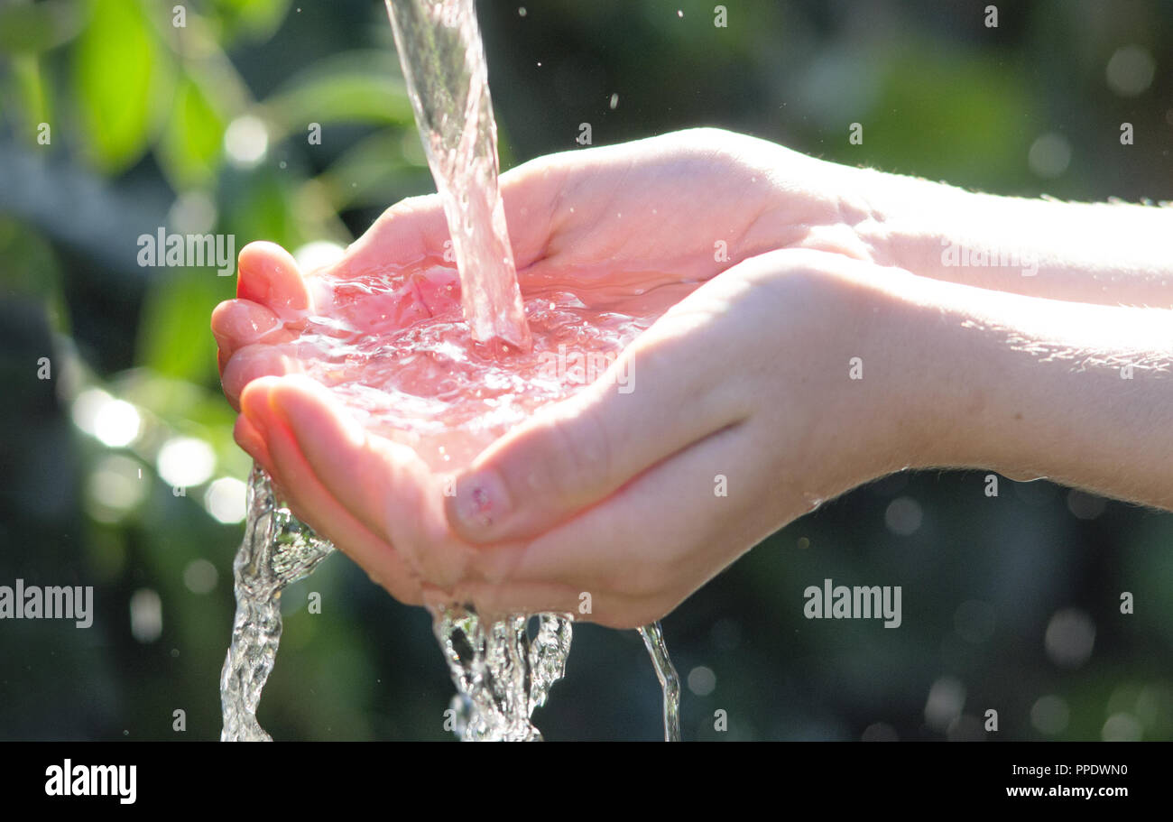 Acqua fresca raccolti da bambino la mano Foto Stock