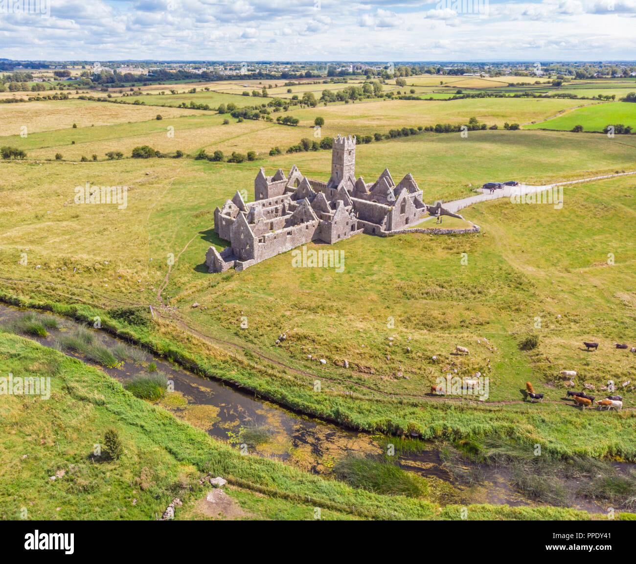 Fondata nel 1351 e situata nei pressi di Headford nella Contea di Galway, Ross Errilly Convento è uno dei meglio conservati medievale siti monastici in Irlanda. Foto Stock