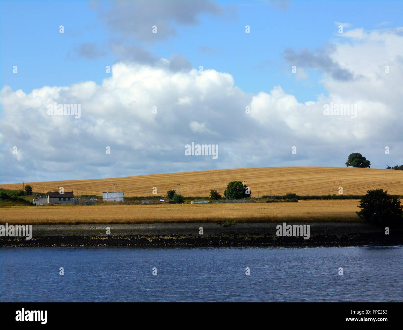 Una vista di alcuni golden e splendidi terreni coltivati sulle rive del fiume Clyde, completa di blu e bianco, cielo molto nuvoloso in Glasgow. Foto Stock