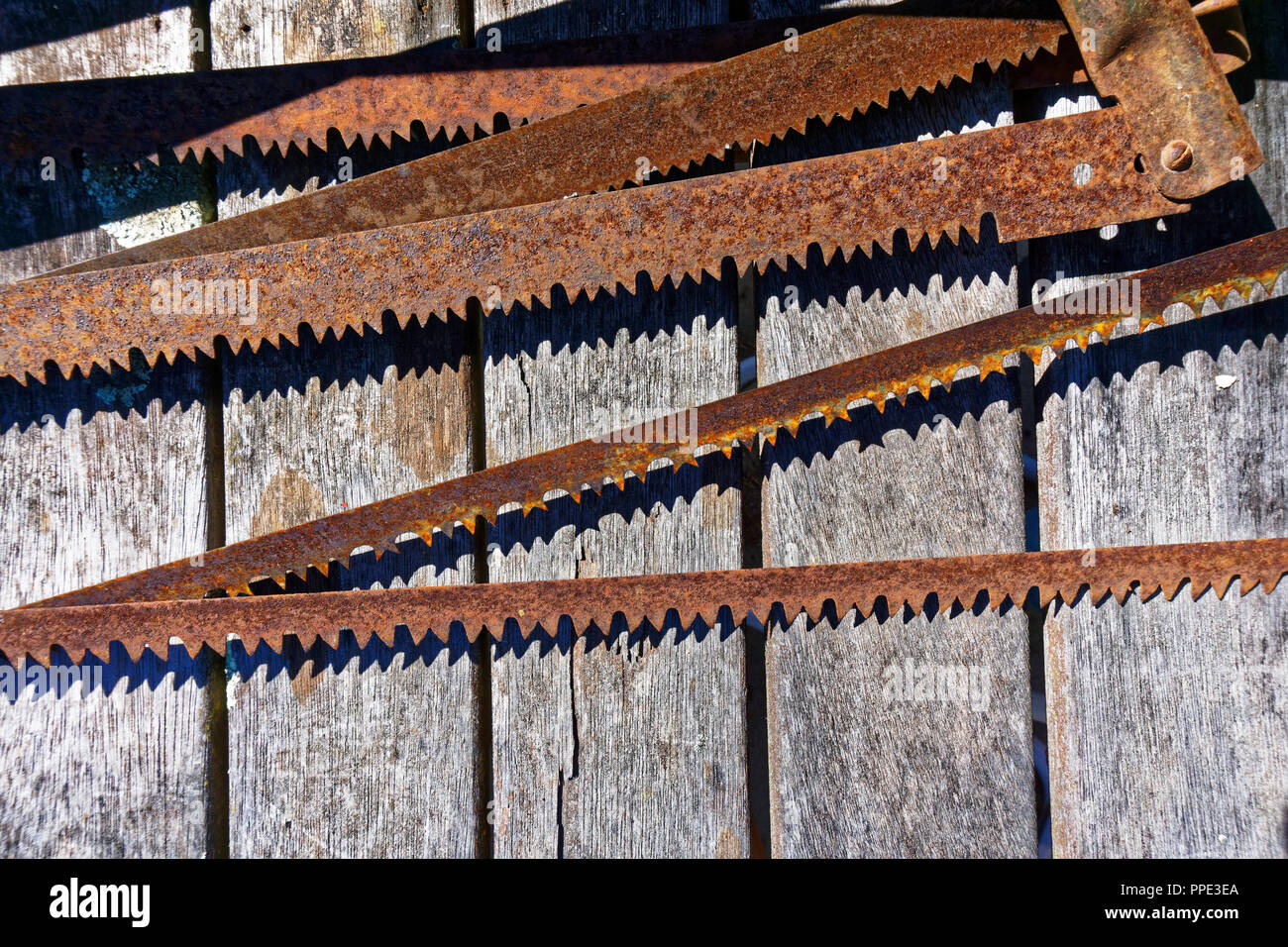 Rusty bow lame a sega giacente su di un tavolo di legno Foto Stock