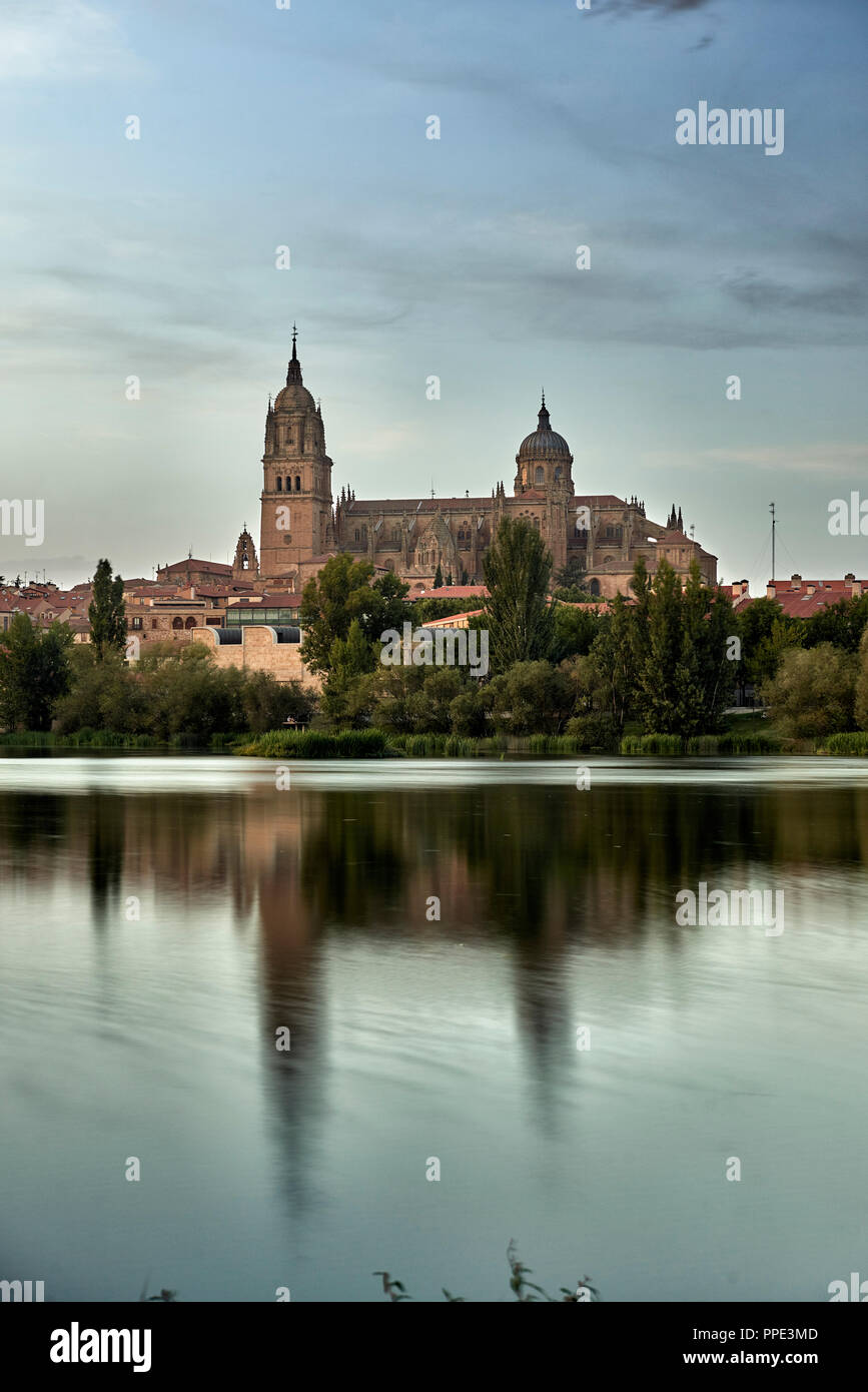 Cattedrale di Salamanca di notte vista dal fiume Tormes, città di Salamanca, Spagna, Europa Foto Stock