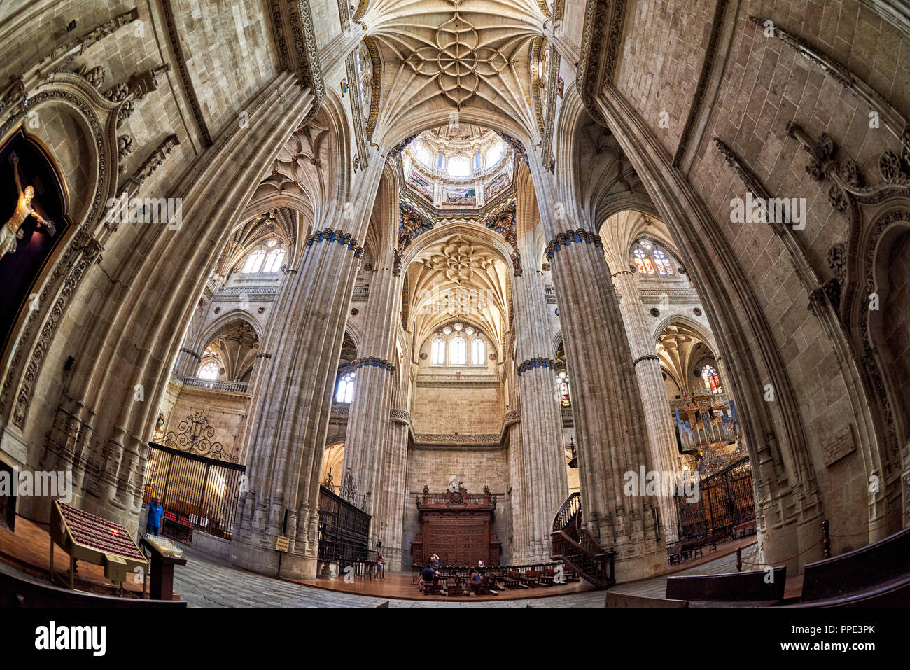 La nuova cattedrale di Salamanca, città di Salamanca, Spagna, Europa Foto Stock