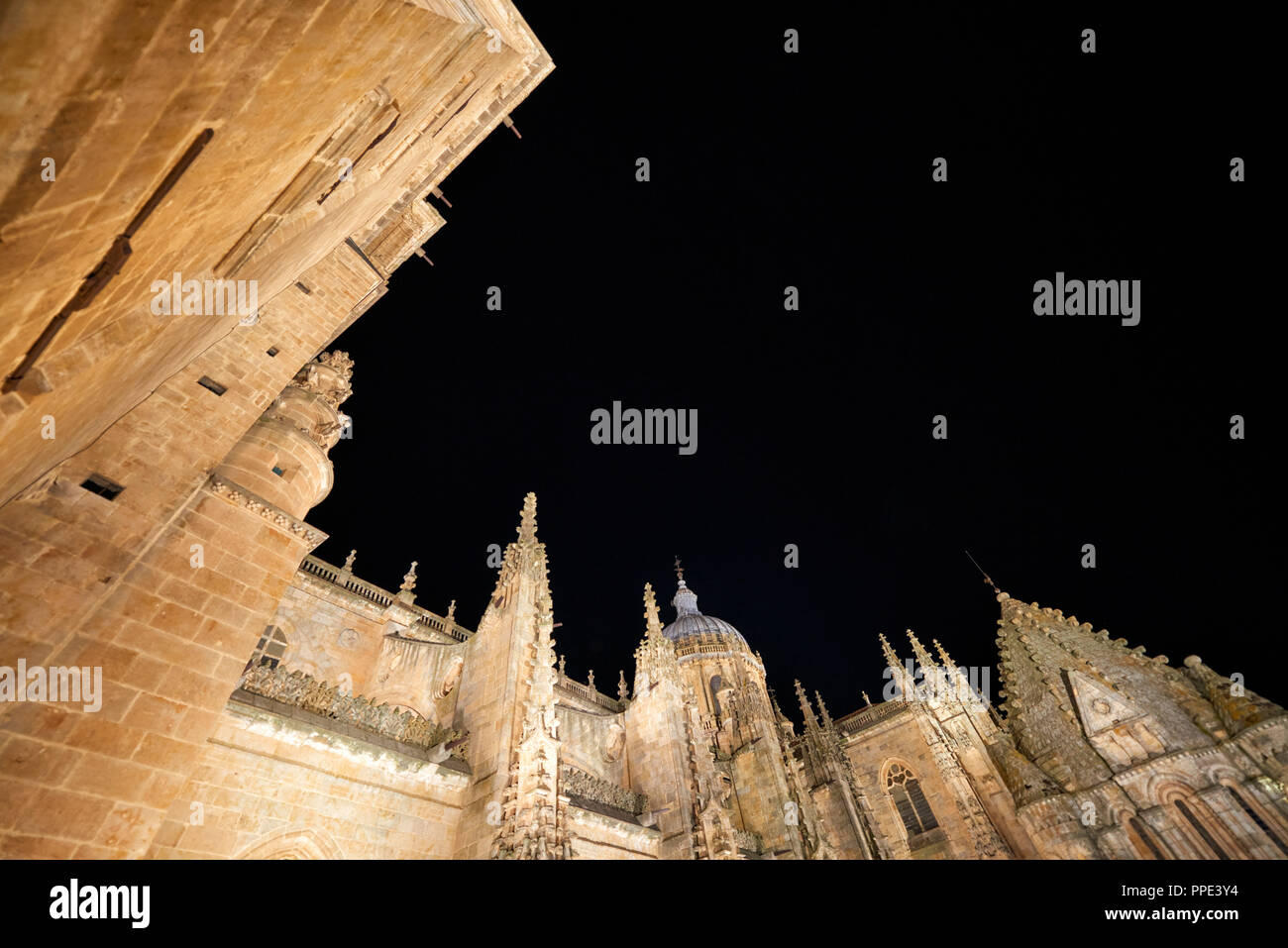 Cattedrale di Salamanca durante la notte, la città di Salamanca, Spagna, Europa Foto Stock