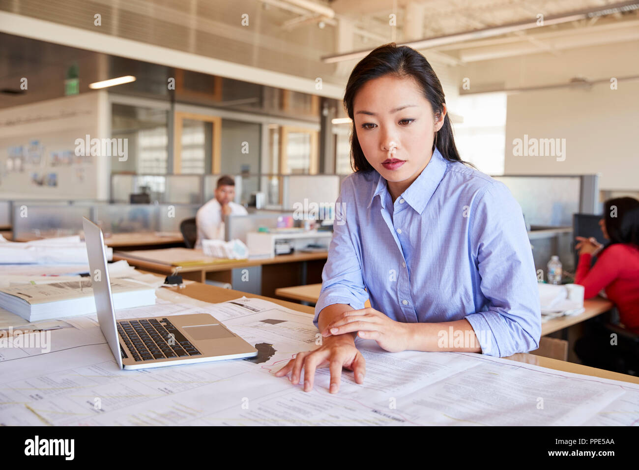 Femmina architetto asiatici studiando piani in aprire ufficio del piano Foto Stock