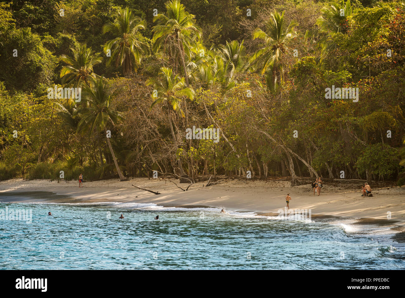 Spiaggia scene, Parco Nazionale di Corcovado, Osa Peninsula, Costa Rica Foto Stock