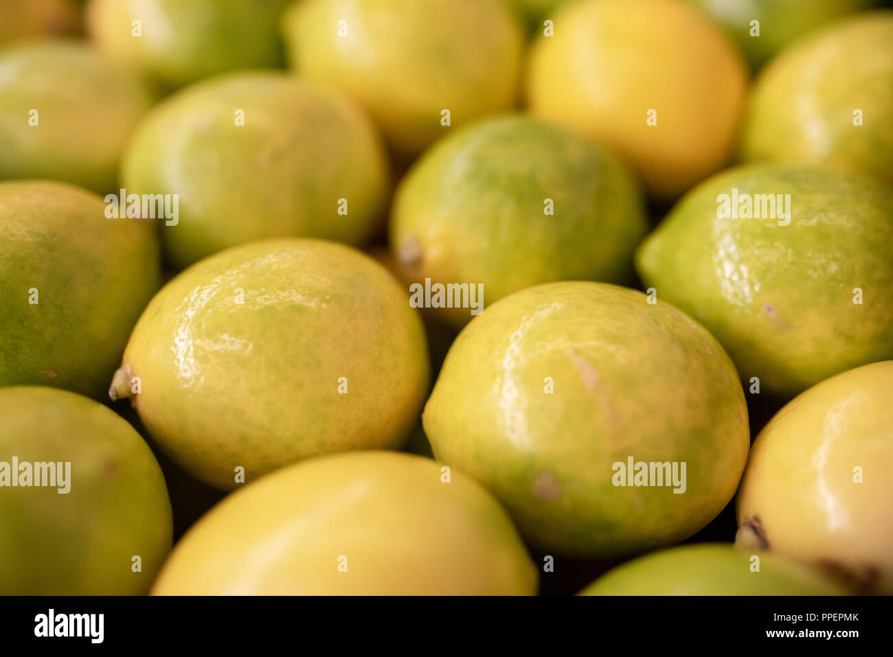 Fresche limone giallo su un supermercato. Close-up di agrumi. Foto Stock