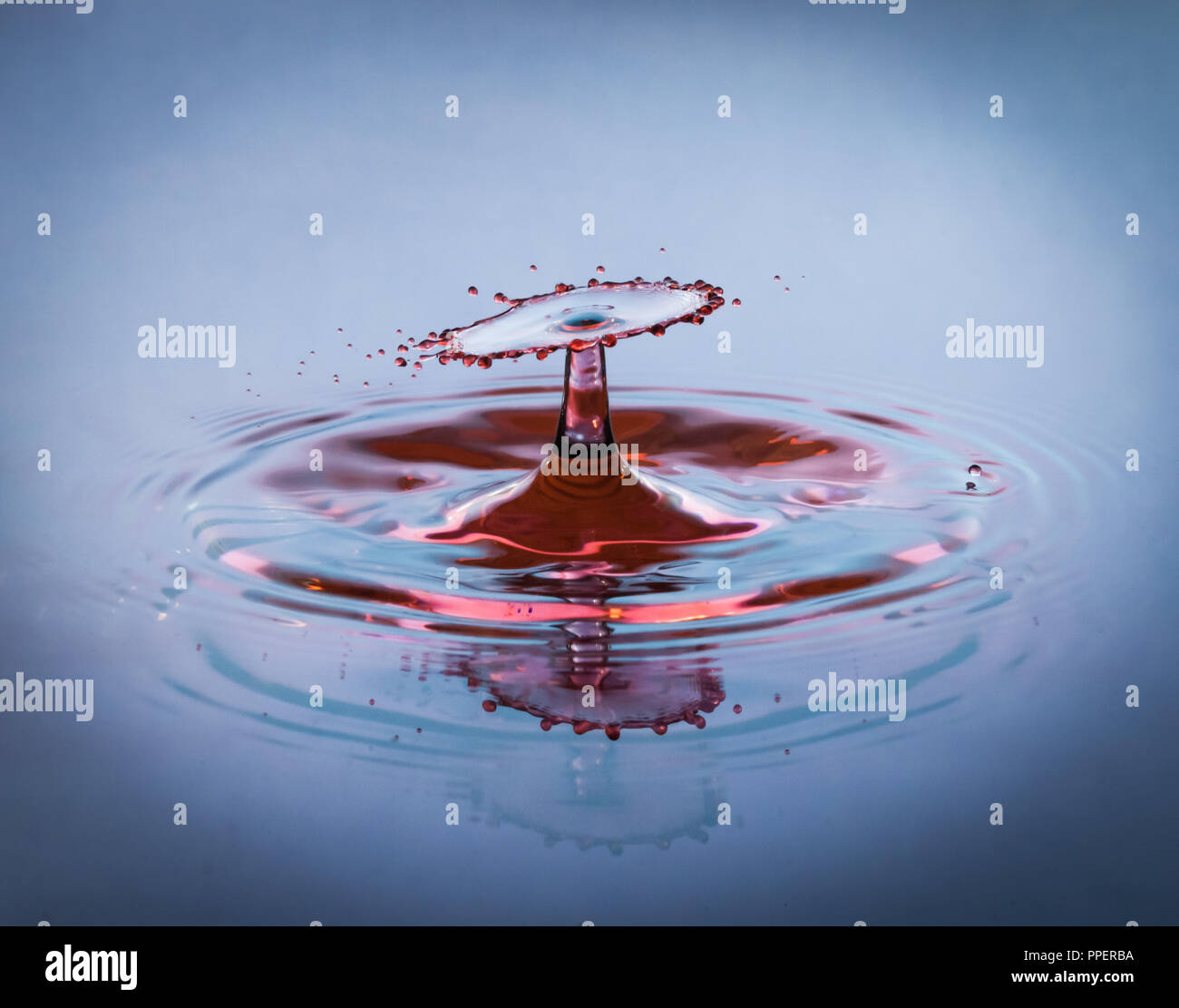 Blu e rosso goccia di acqua spruzzata sulla superficie Foto Stock