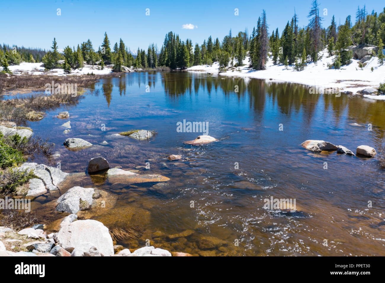 La riflessione sul lungo lago lungo la Beartooth Pass, Wyoming Foto Stock