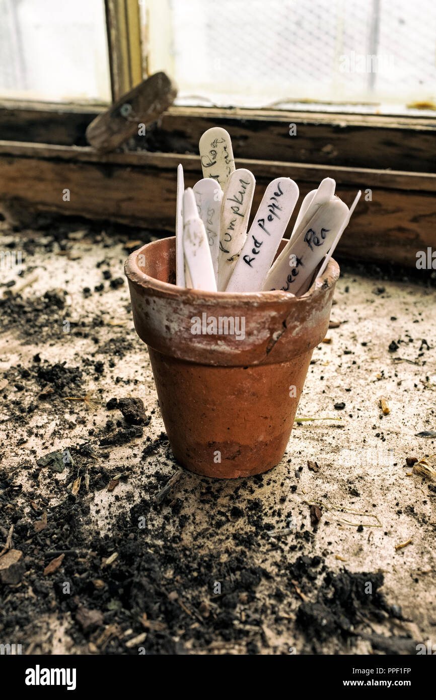 Scritto a mano le etichette di vegetali in un Potting Shed. Foto Stock