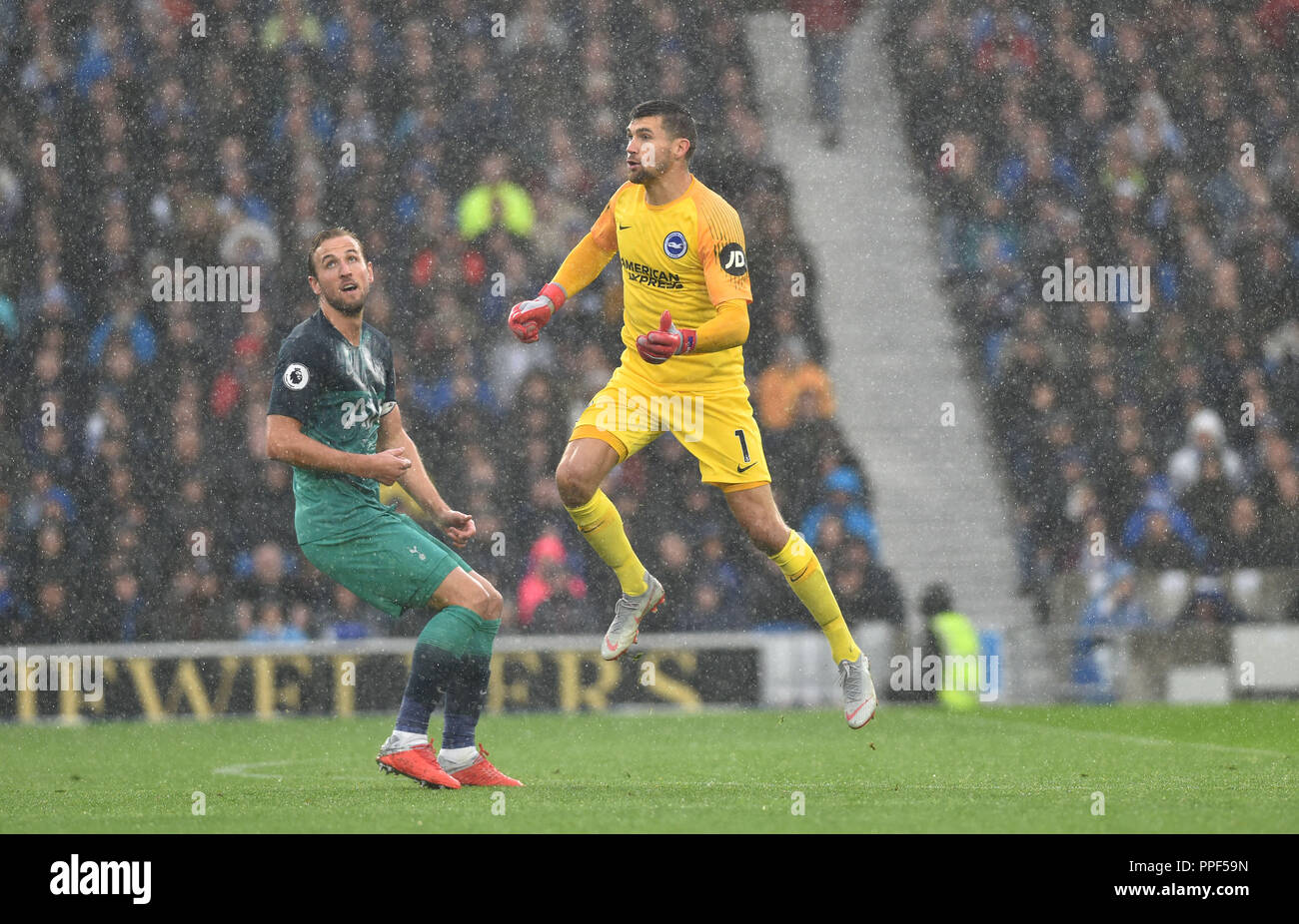 Maty Ryan di Brighton capi la sfera chiaro da Harry Kane di speroni durante il match di Premier League tra Brighton e Hove Albion e Tottenham Hotspur presso la American Express Community Stadium , Brighton , 22 settembre 2018 solo uso editoriale. No merchandising. Per le immagini di calcio FA e Premier League restrizioni si applicano inc. no internet/utilizzo mobile senza licenza FAPL - per i dettagli contatti Football Dataco Foto Stock