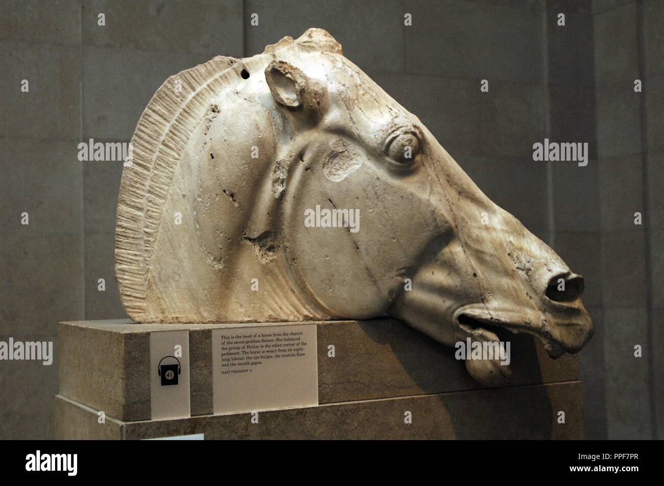 La Grecia. Atene. Il Partenone. Testa di cavallo dal carro del moon-dea Selene. Frontone orientale. 5° C. BC. British Museum. Londra. Regno Unito. Foto Stock