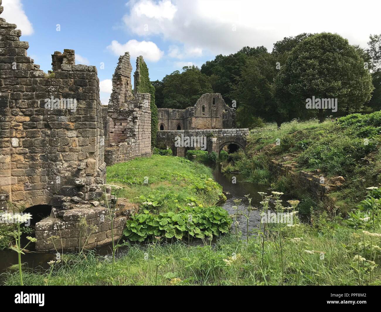 Fountains Abbey è uno dei più grandi e meglio conservate in rovina i monasteri cistercensi in Inghilterra. Fondata nel 1132 - fino al suo scioglimento nel 1536 sotto l'ordine di Henry VIII. | Utilizzo di tutto il mondo Foto Stock