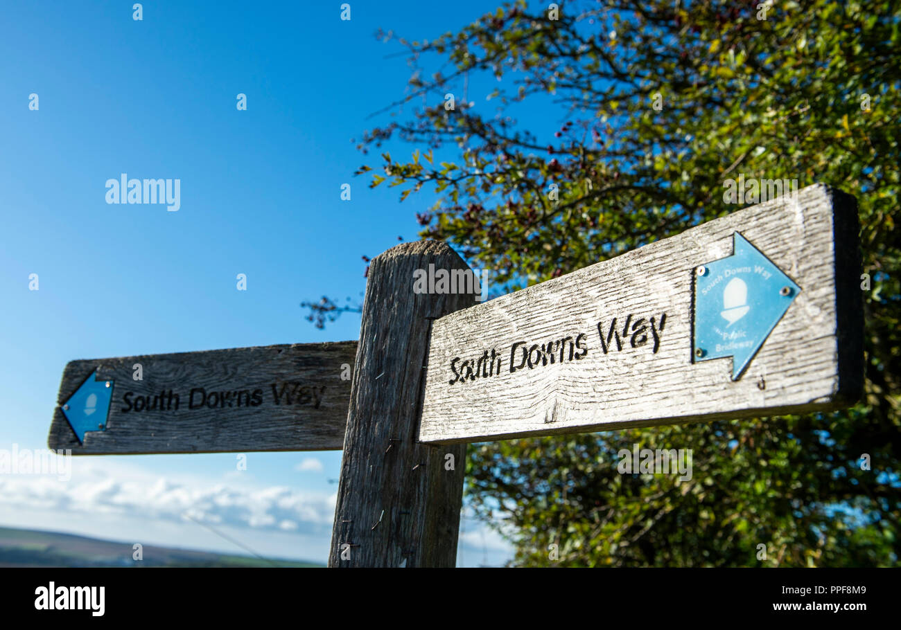 Vista lungo il South Downs la strada a piedi a Ditchling Beacon appena a nord di Brighton in East Sussex Regno Unito Foto Stock