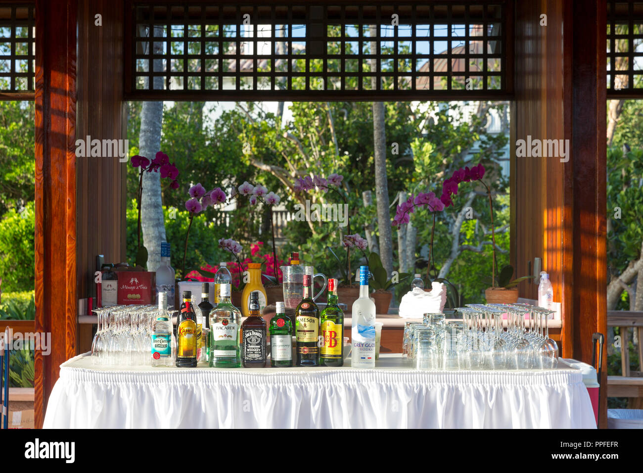 Bevande alcoliche al giardino esterno partito, Naples, Florida, Stati Uniti d'America Foto Stock