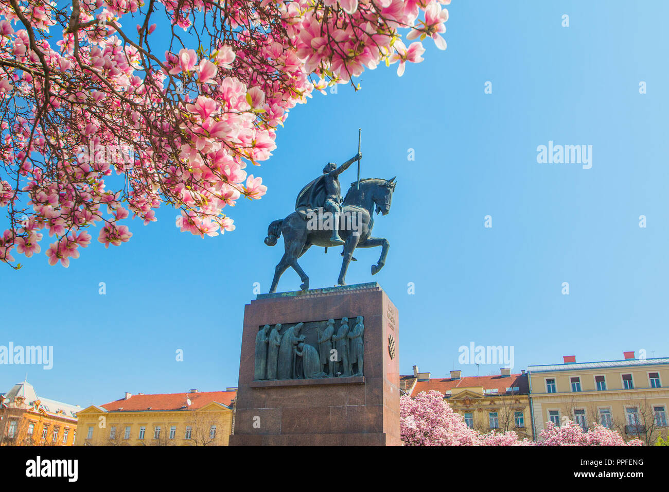 Re Tomislav statua a Zagabria in Croazia, oltre il giapponese di fiori di ciliegio in primavera Foto Stock