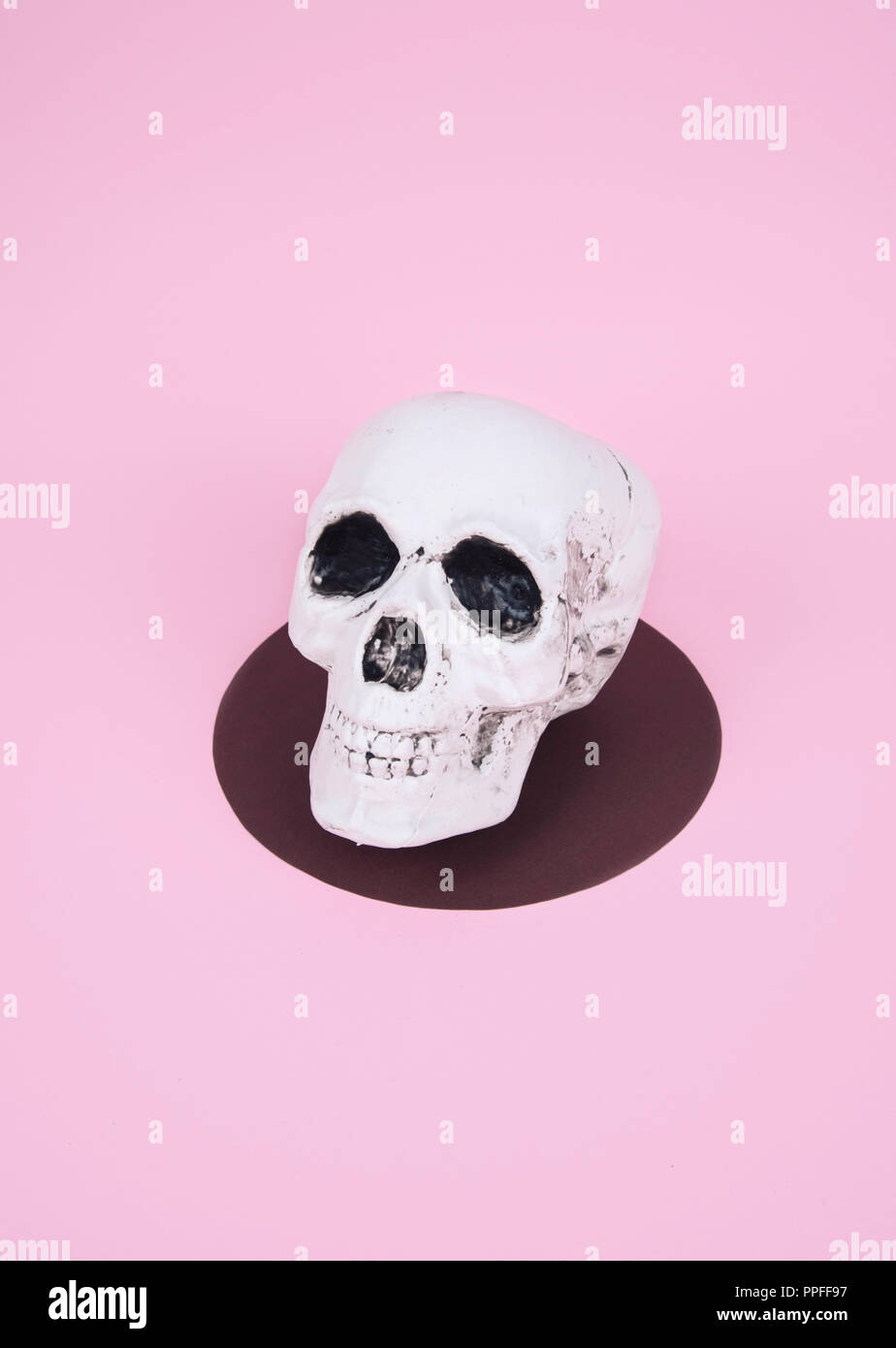Teschio sul trendy rosa pastello sfondo. Creative concetto di Halloween. Foto Stock