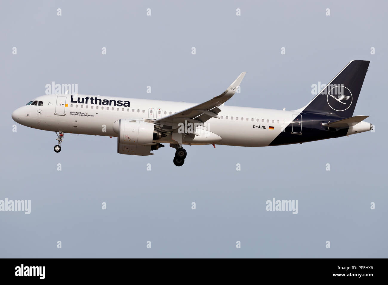 Il tedesco Lufthansa Airbus A320neo con registrazione D-AINL su corto finale per la pista 25L dell'aeroporto di Francoforte. Foto Stock