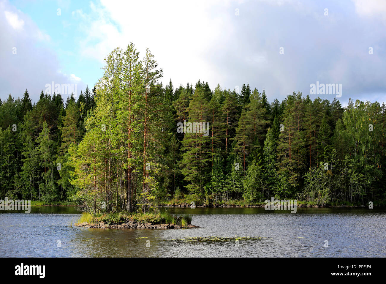 Piccola isola su una tranquilla foresta lago in Finlandia centrale all'inizio dell'autunno. Foto Stock