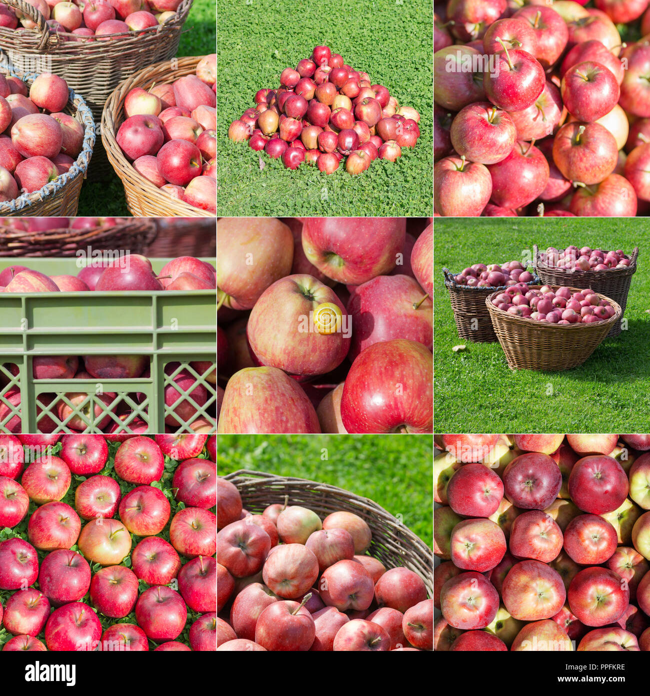 Presentate spennate pile di mele compilation con viste diverse, in cesti in legno, impilati uno anche con una lumaca Foto Stock