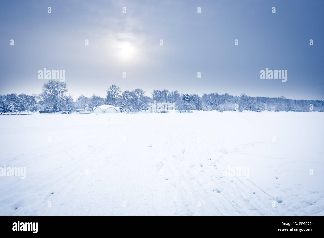 Gelido inverno mattina campo di neve paesaggio con foresta lontana sull orizzonte in frost fredda giornata invernale in morbida di colore blu Foto Stock