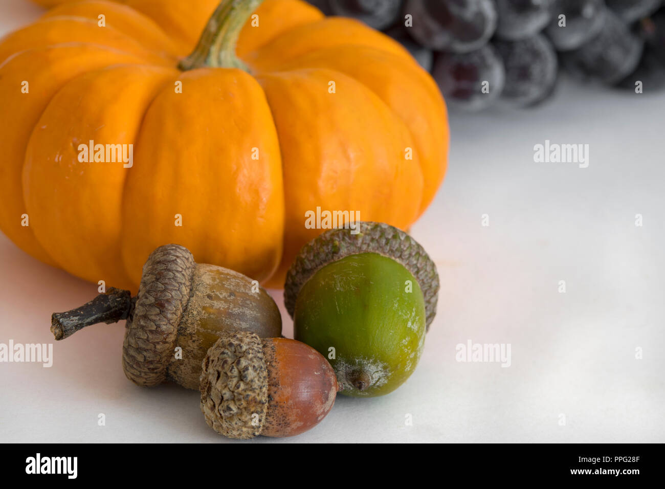 Zucche di autunno Foto Stock