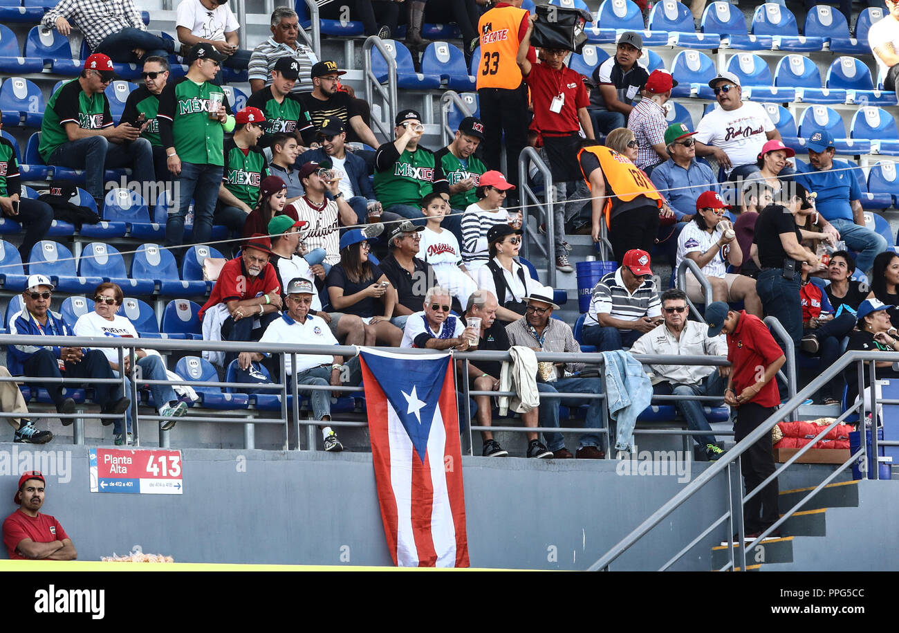 AFICION, duranti el partido de beisbol entre Criollos de Caguas de Puerto Rico contra las Águilas Cibaeñas de Republica Dominicana, duranti la serie d Foto Stock