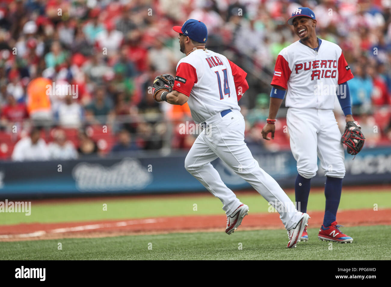 Mike Avilés de Puerto Rico realiza n.a. atrapa en el jardín derecho , duranti el partido entre Italia vs Puerto Rico, World Baseball Classic en estadio Foto Stock