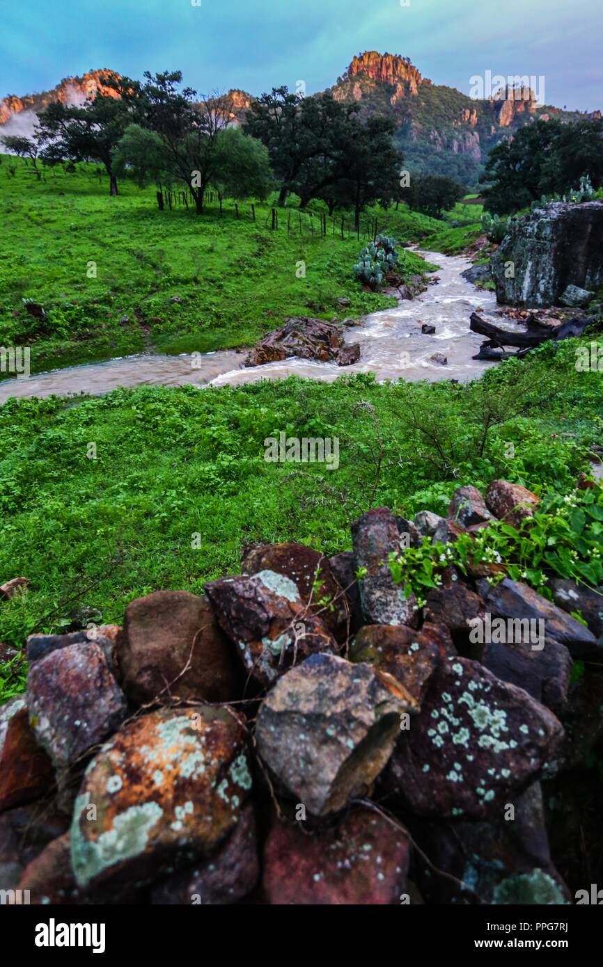 Rancho Santa Barbara y Reserva Monte Mojino de la Cultura Naturale Internazionale (NSC). Area de protegida. Reserva Natural en la Sierra de Alamos, sono Foto Stock