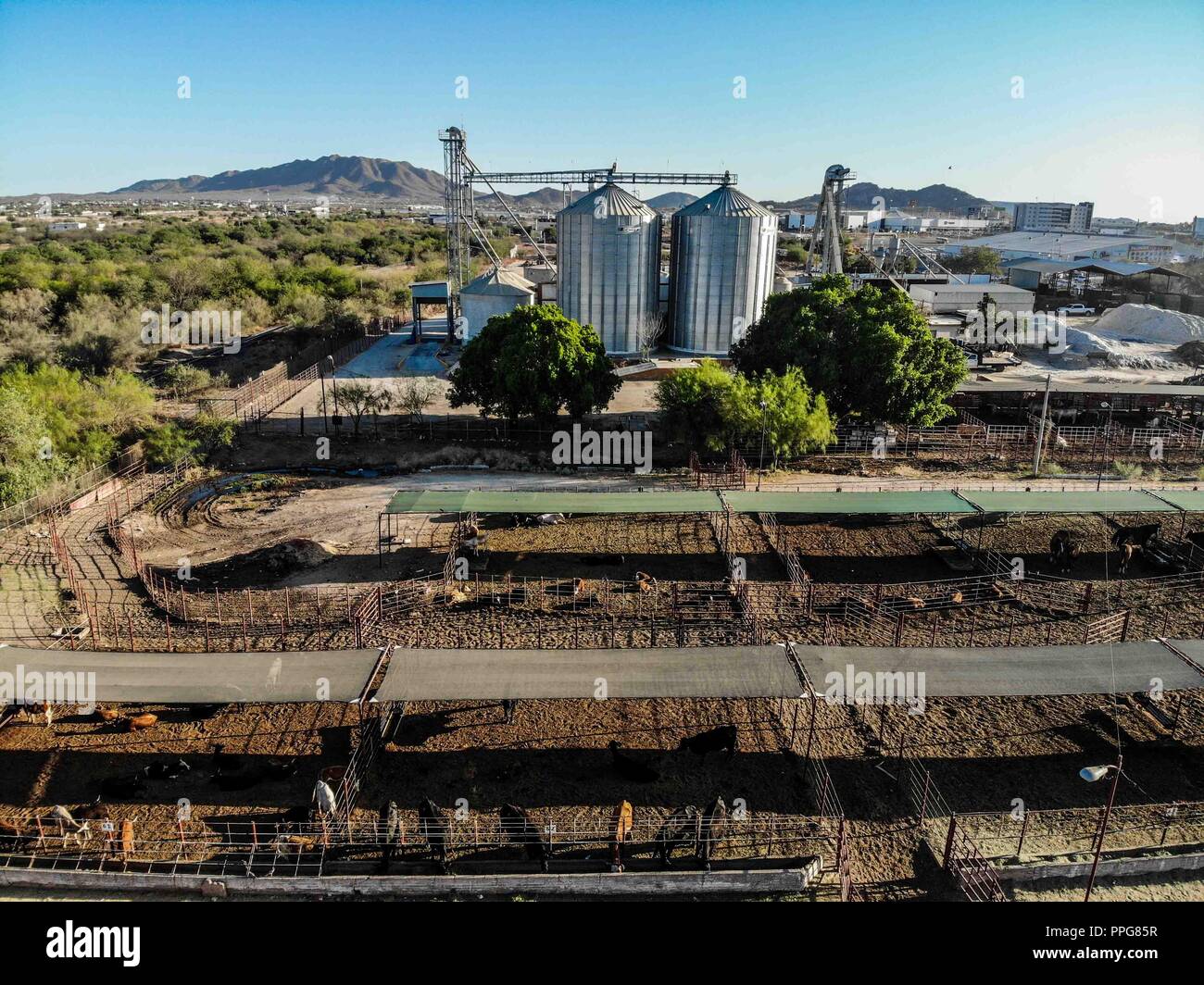 Vista aerea di fienili, struttura in acciaio di fienili nel Expogan, bestiame Regionale Europea di Sonora (UGRS). Hermosillo Sonora Foto Stock