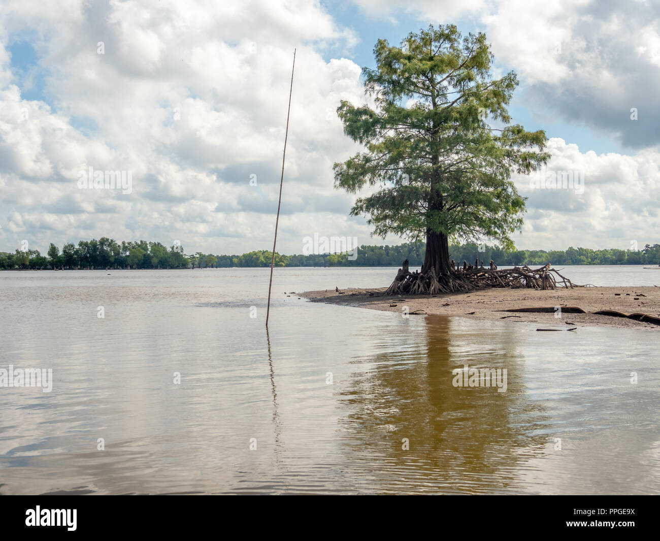 Atchafalaya National Wildlife Refuge, Louisiana Foto Stock