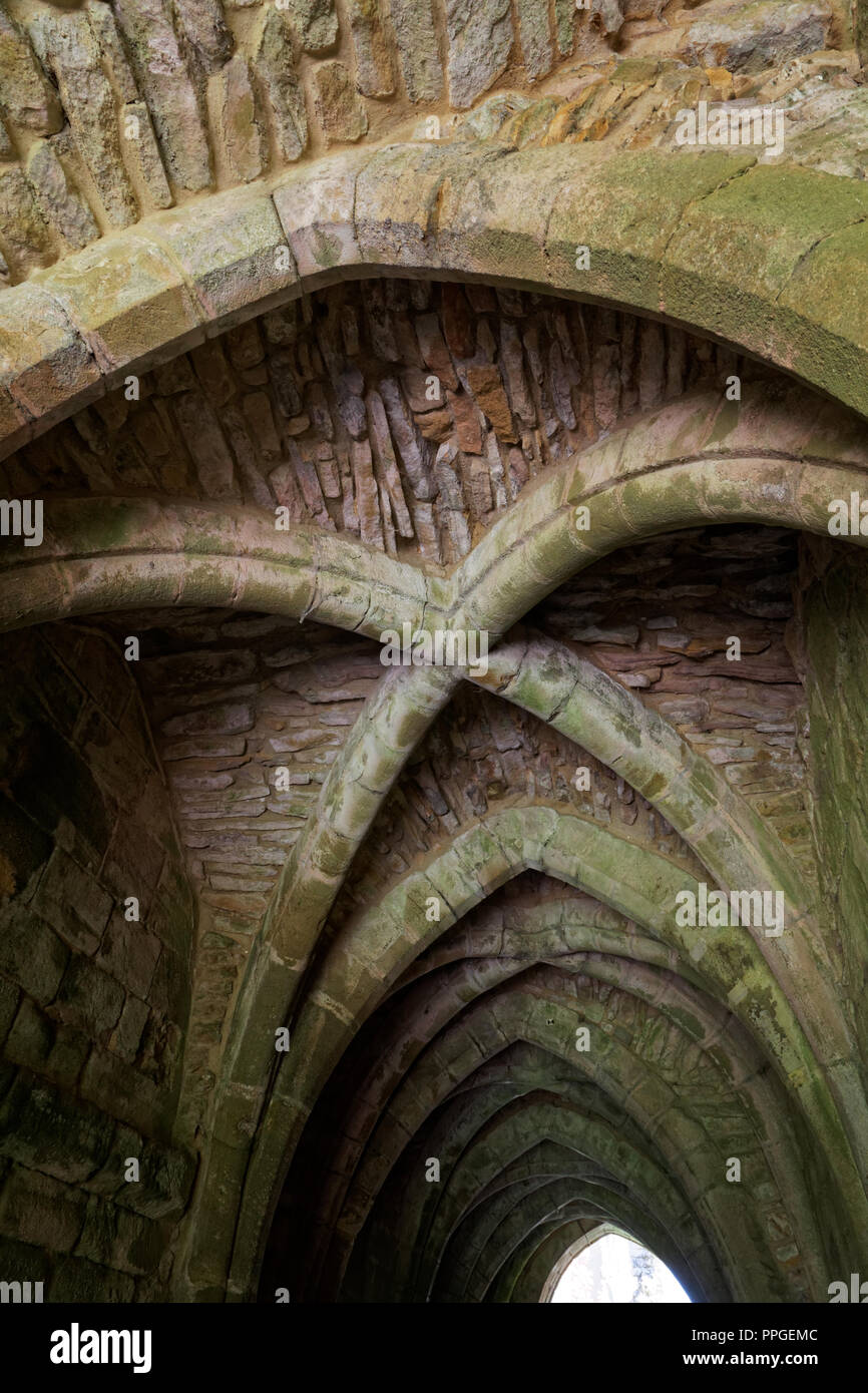 Il Cellarium, Fountains Abbey, North Yorkshire, un sito Patrimonio Mondiale dell'UNESCO - resti ben conservati di un monastero cistercense Foto Stock