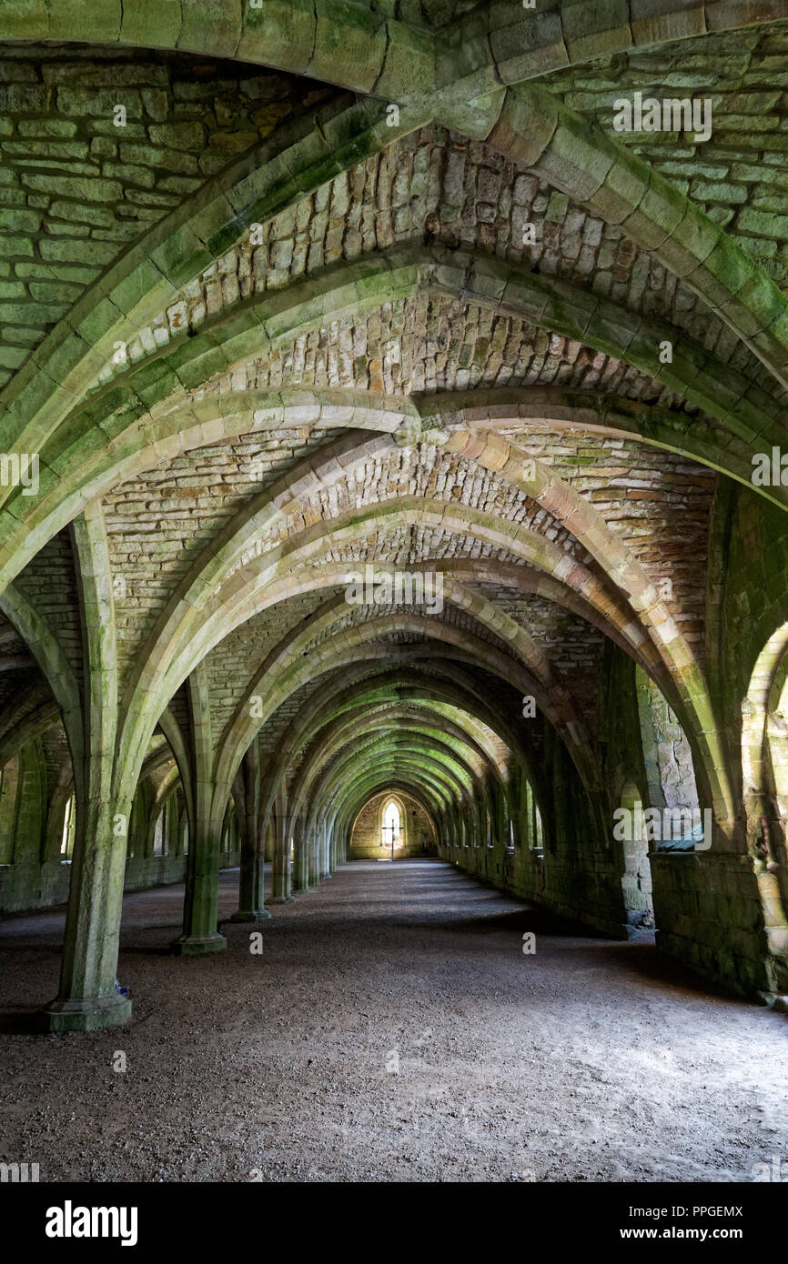 Il Cellarium, Fountains Abbey, North Yorkshire, un sito Patrimonio Mondiale dell'UNESCO - resti ben conservati di un monastero cistercense Foto Stock